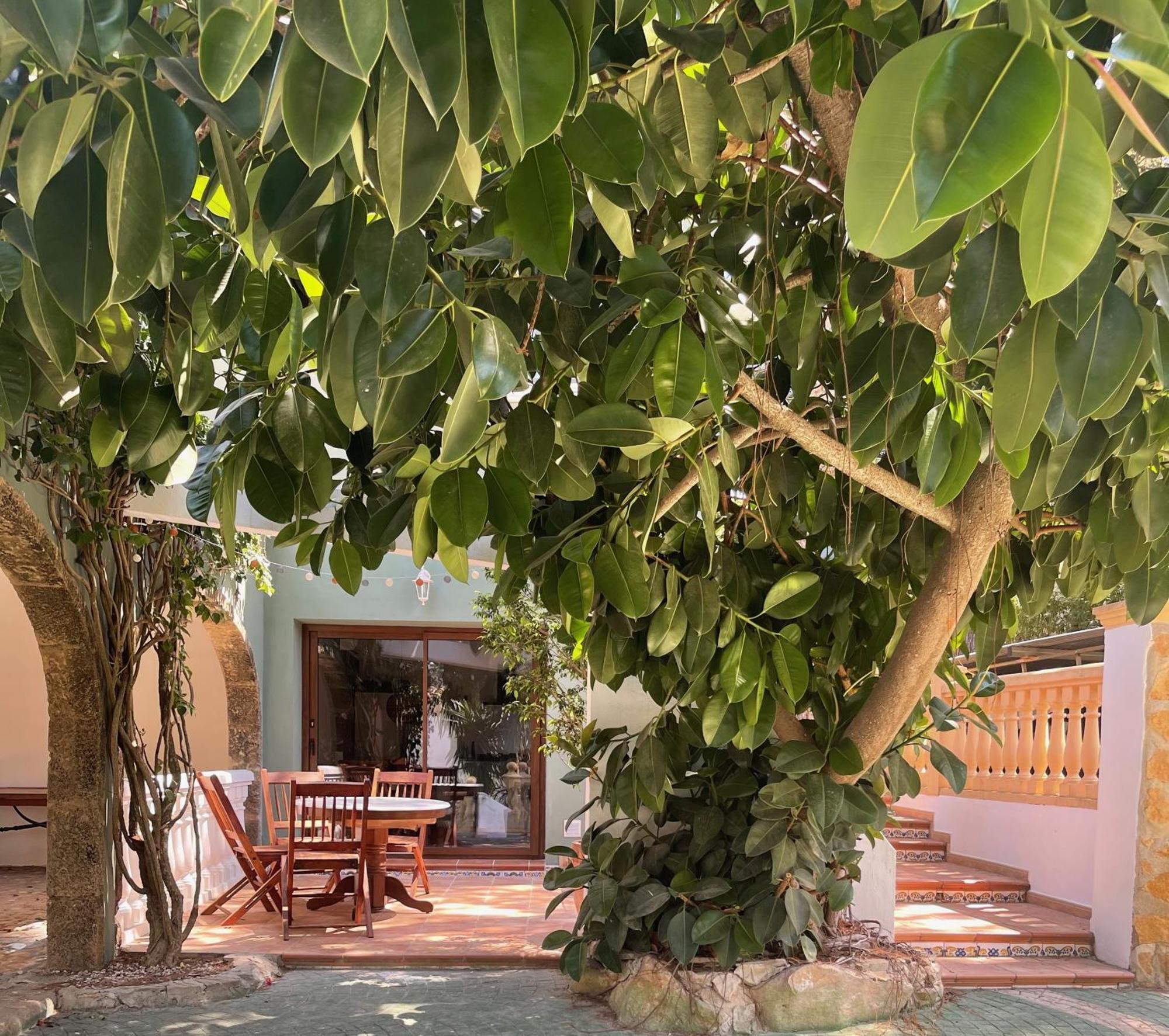 La Posada Paradiso Jávea Extérieur photo